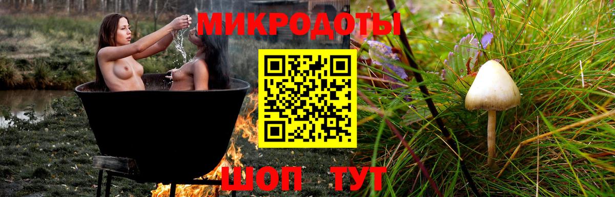 Севастополь  Псилоцибиновые грибы ЛСД  Вход с VPN 