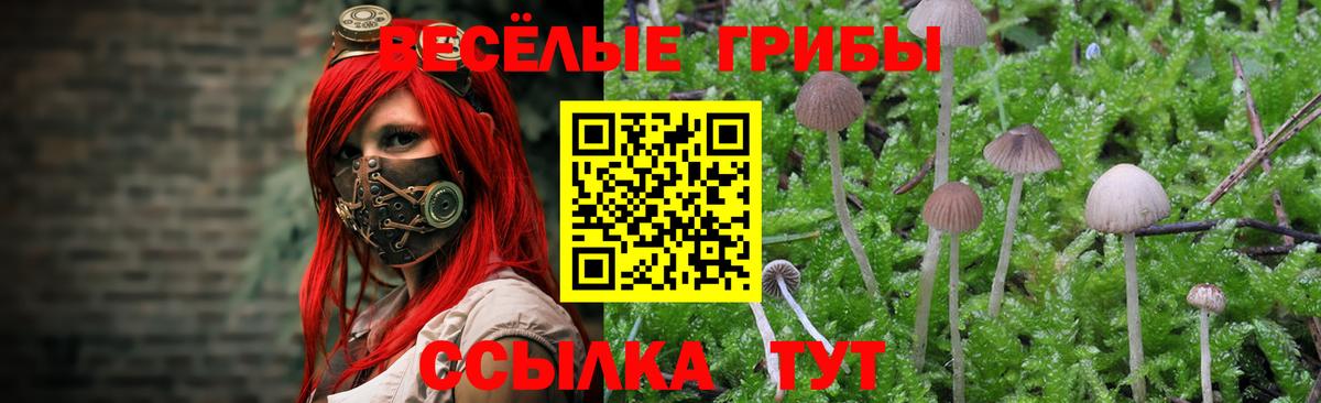 Псилоцибиновые грибы ЛСД Севастополь