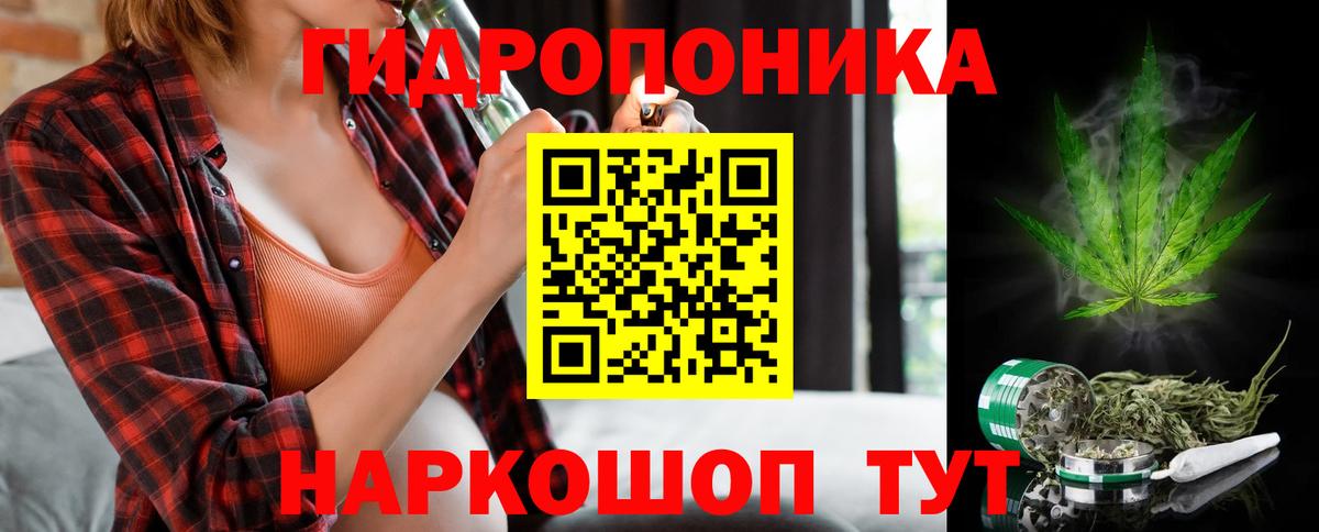 Бошки Шишки марихуана  Бошки Шишки OG Kush  Севастополь  Вход с VPN  Бошки марихуана VHQ  Бошки Шишки сатива 