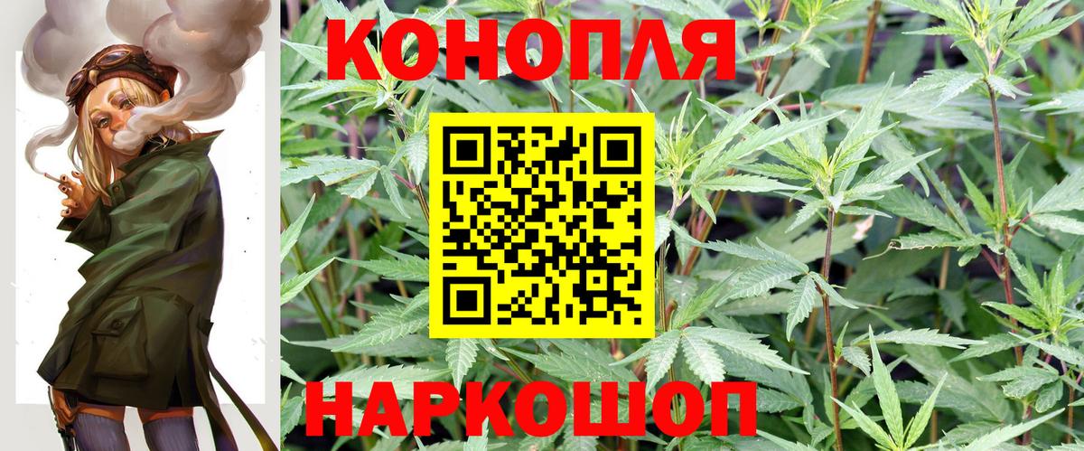 Каннабис сатива Севастополь